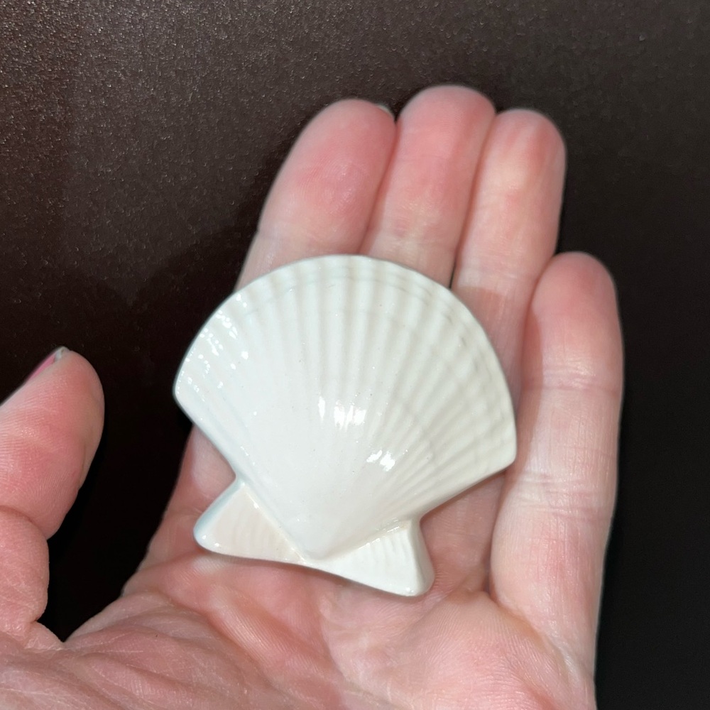 SEASHELL DECOR